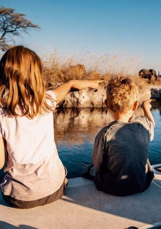 Spot elephants, lilac-breasted rollers and other wildlife on safari in Botswana.