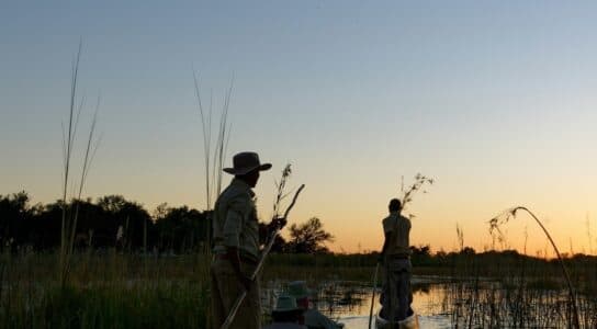 Cruise the Okavango Delta in a mokoro preview image
