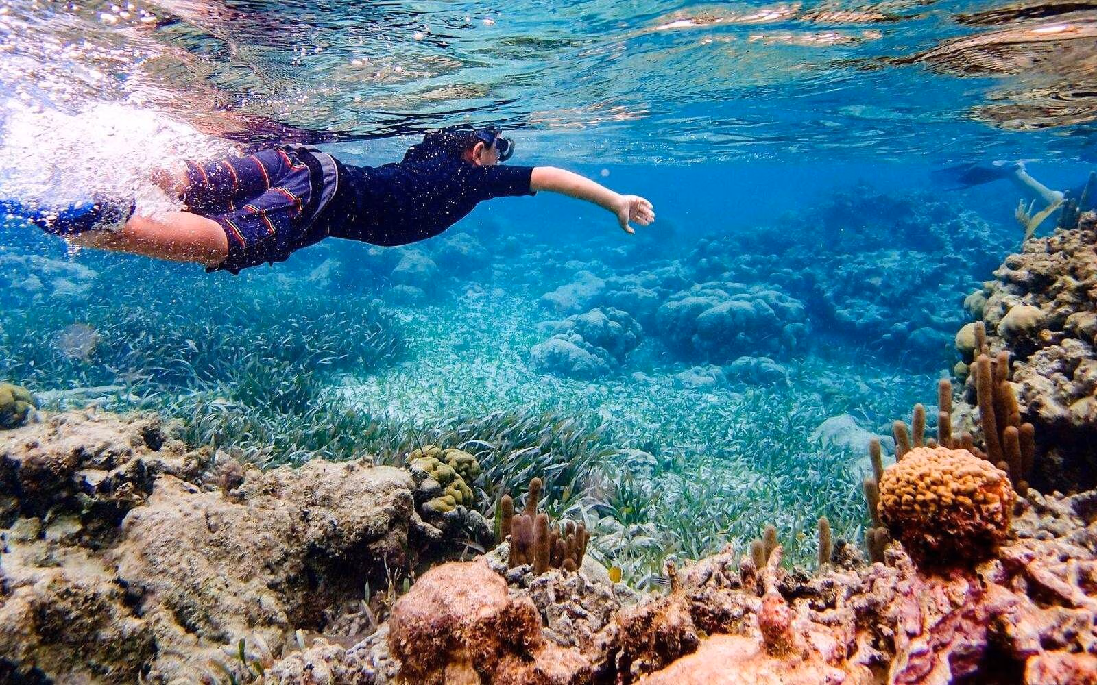 Swim above intricate coral gardens in Ambergris Caye in Belize.