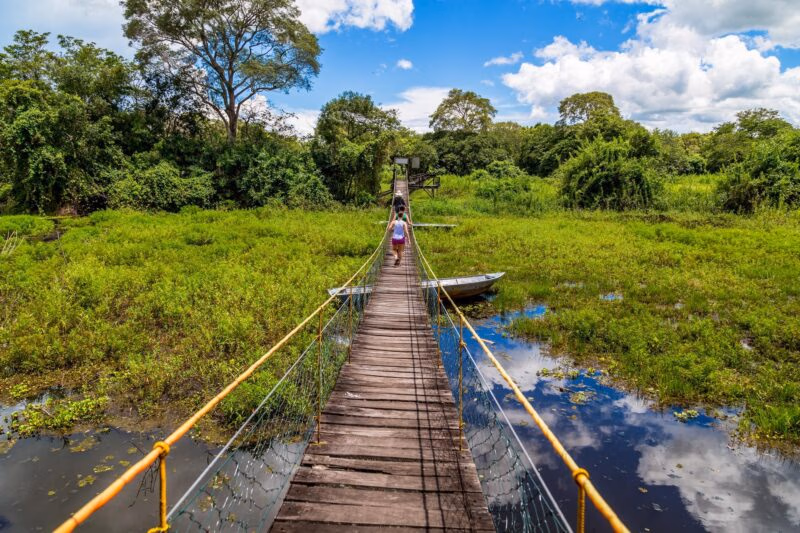 People walk across a wooden suspension bridge over a vibrant green wetland with a moored boat under a cloudy blue sky.