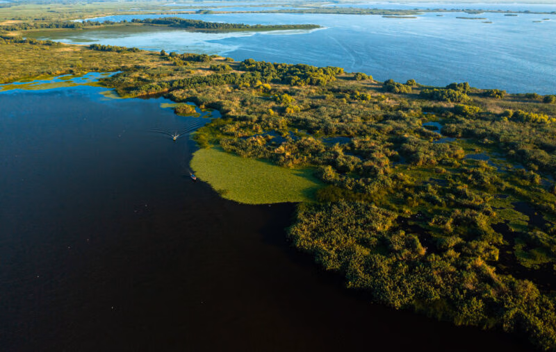Aerial view of a vast wetland featuring dark blue water, green marshlands, and small boats navigating along the edge.