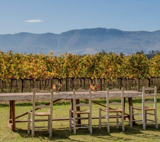 A rustic wooden dining table and chairs set outdoors on a grassy lawn in front of autumn grapevines and distant mountains.