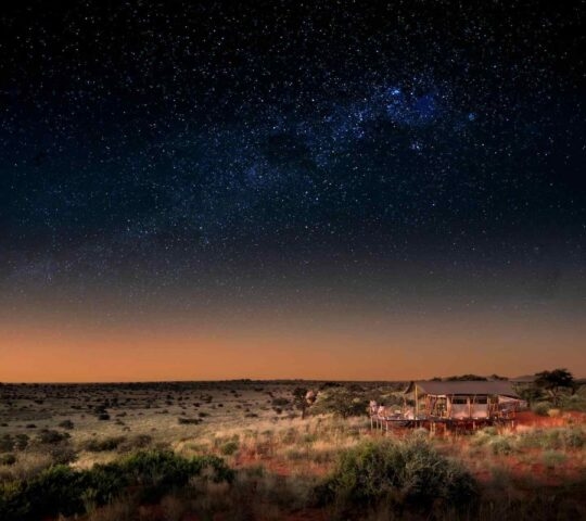 A tent structure in a desert landscape under a night sky with stars