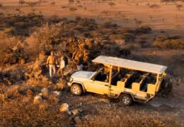 Ultra-Luxury South Africa Safari: Wine and Wilderness