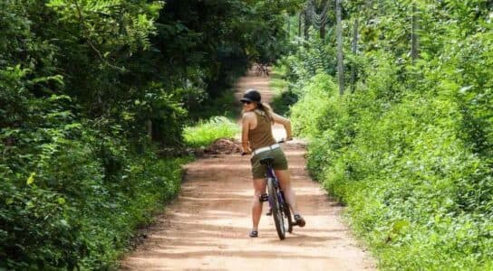 Cycle between national parks preview image