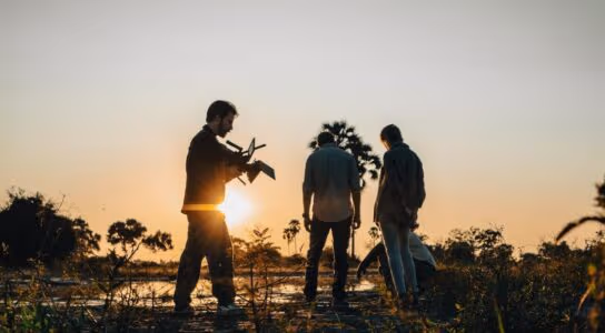 Master film and photography in the wild preview image