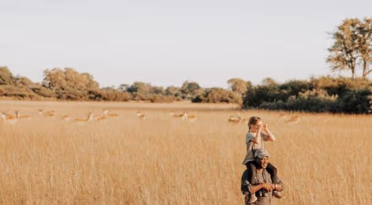 Safari in 60,000 hectares of pristine wilderness preview image