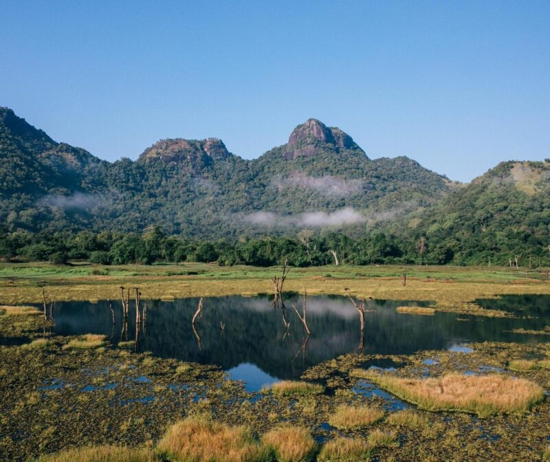 Calm lake with dead trees, backed by forested mountains and low mist under a clear blue sky.