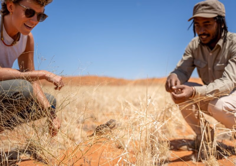 Two people crouch in dry grass observing a small chameleon in a desert landscape under a blue sky.