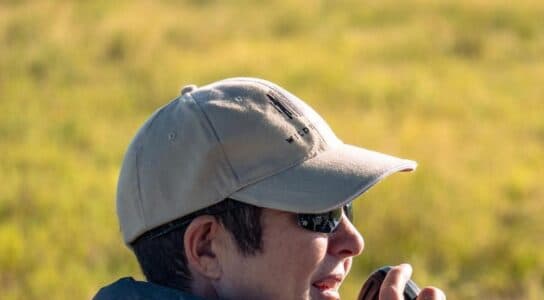 Take a private game drive in the Kalahari preview image