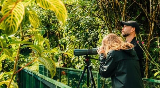 Spot Costa Rica's diverse wildlife preview image