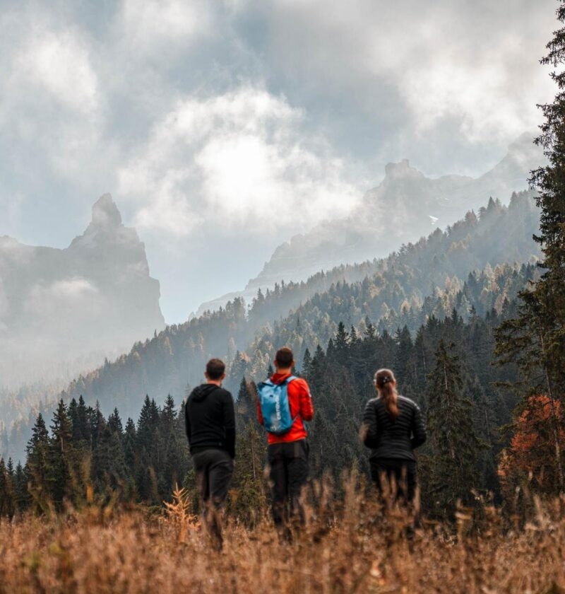 Three people stand in a field looking toward a dense forest and dramatic, cloud-covered mountain peaks.