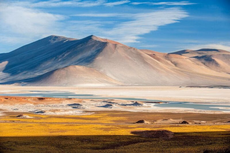 High-altitude desert landscape with yellow vegetation, a salt lagoon, and smooth mountains under a blue sky.