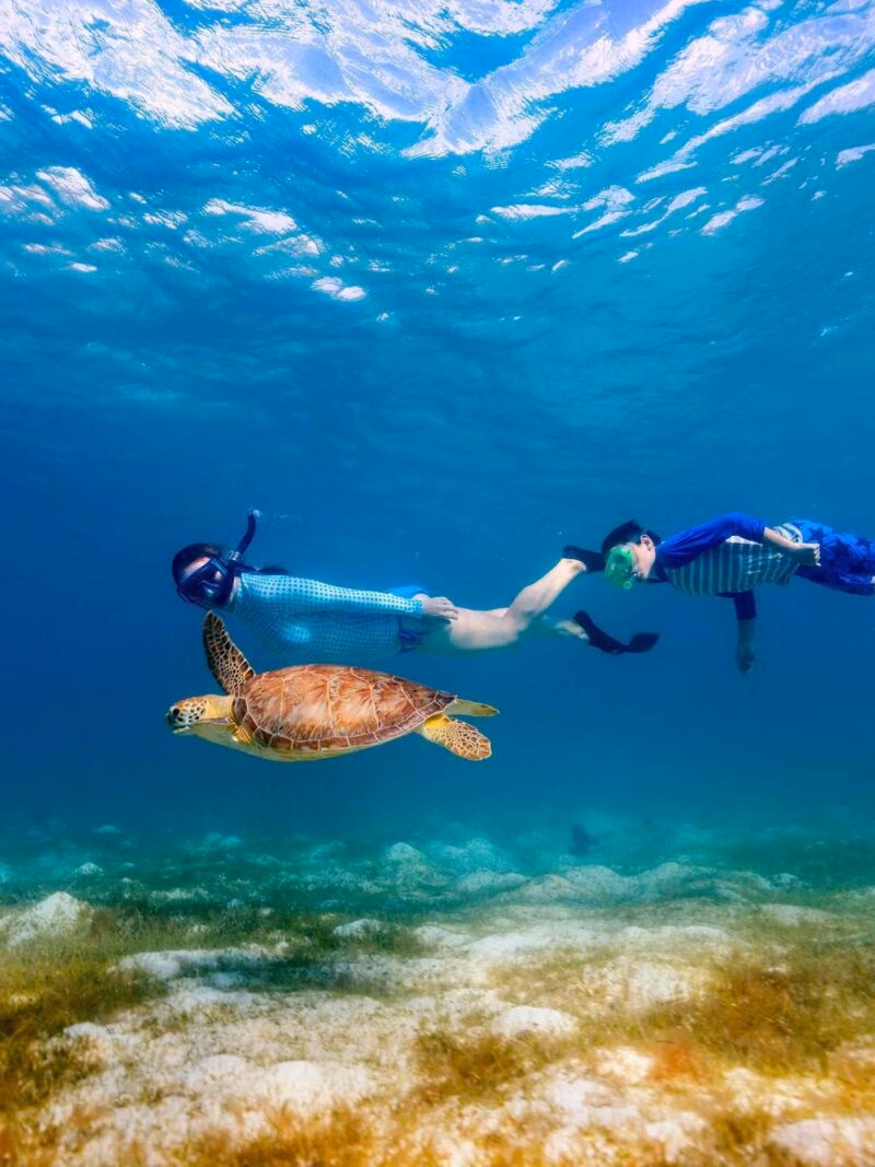 Two people snorkelling underwater in clear ocean water right behind a sea turtle.