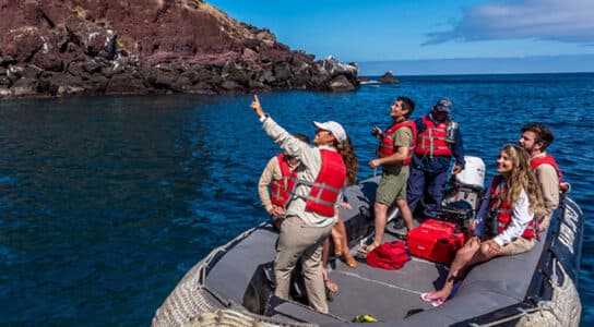 Explore the Galápagos Islands by Zodiac preview image