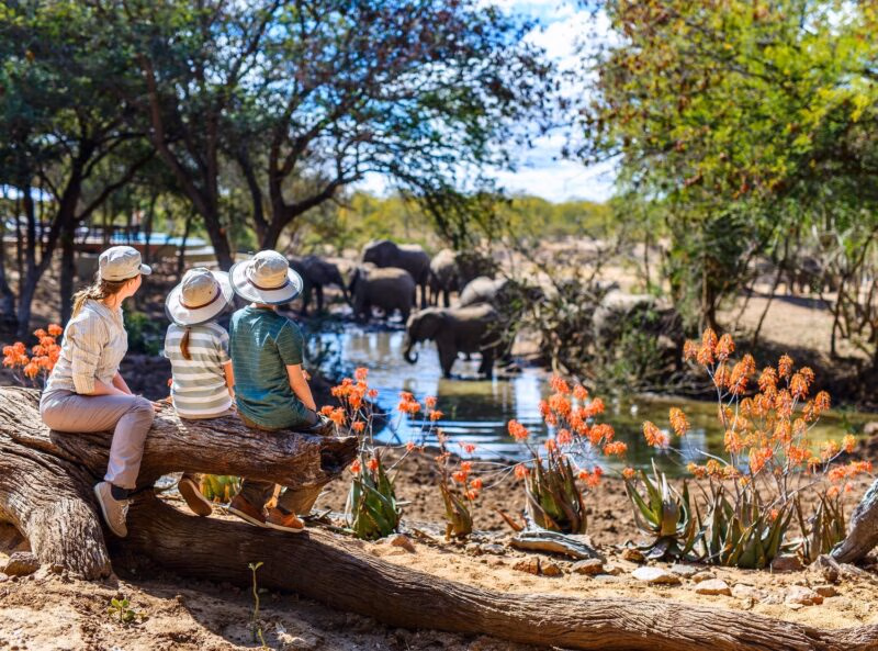 A woman and two children sit on a log watching a herd of elephants gather at a watering hole in a sunny landscape.