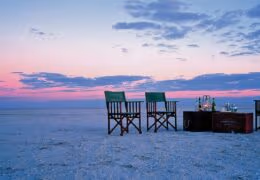 A Digital Detox Safari in Botswana