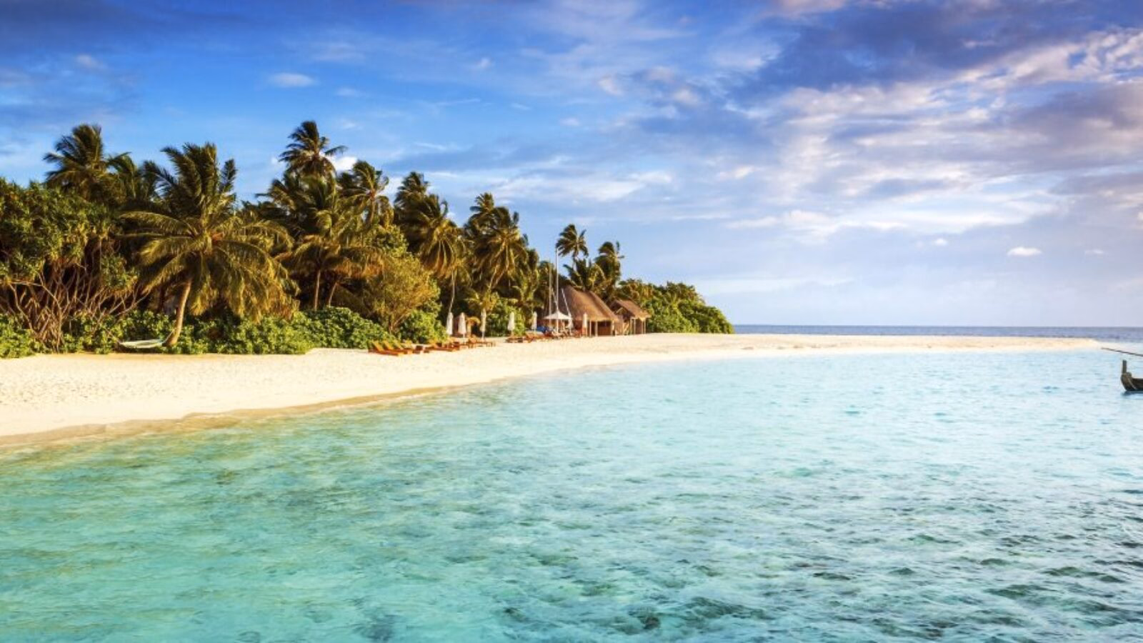 A beautiful golden sand beach with trees by shallow clear water