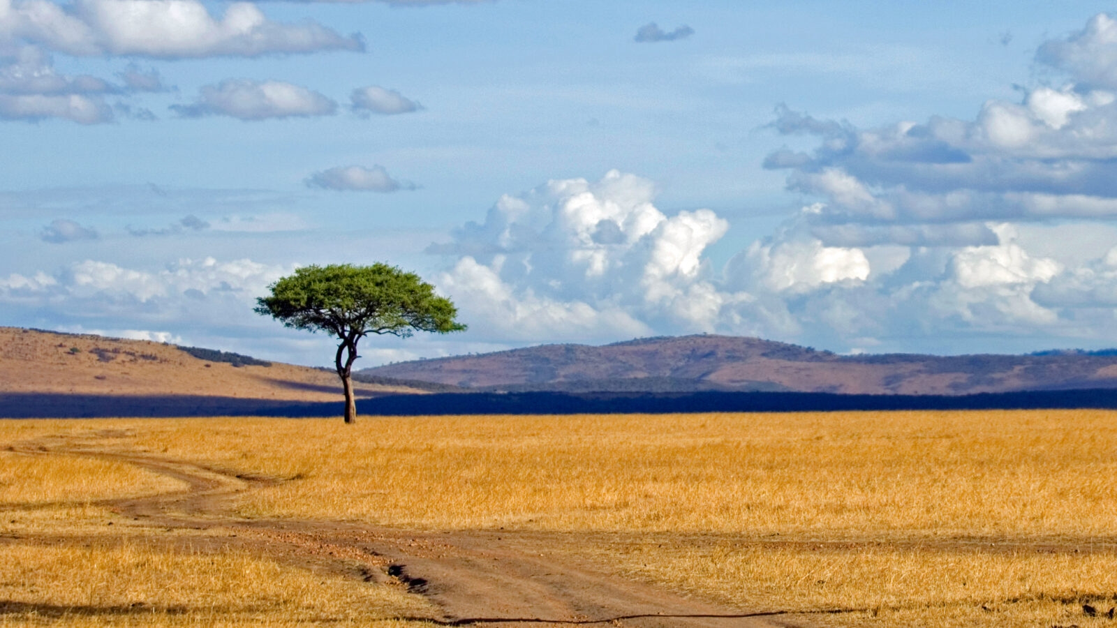 masai-mara-lanscape