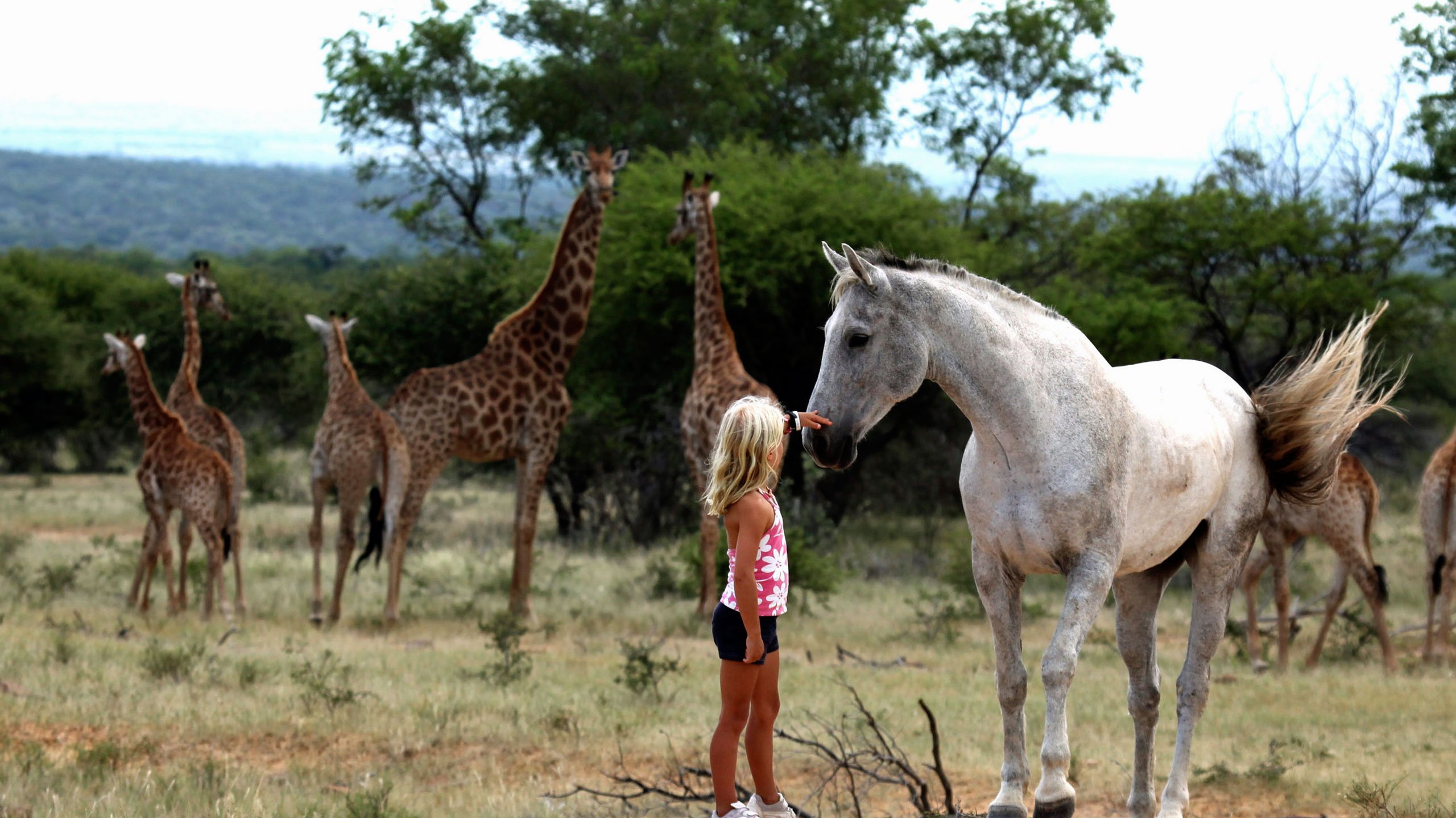 best family safari in south africa
