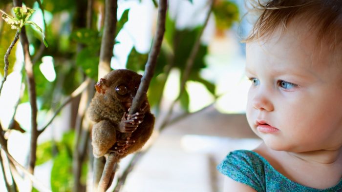 Girl-and-tarsier.jpg