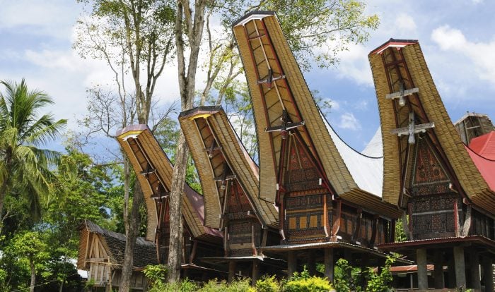 The towering Tongkonan houses of Tana Toraja in Sulawesi, Indonesia.