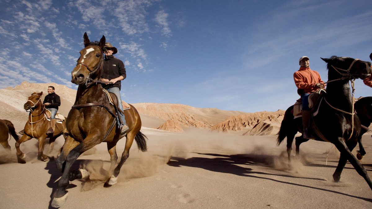 Galloping horses, Atacama Desert, Chile