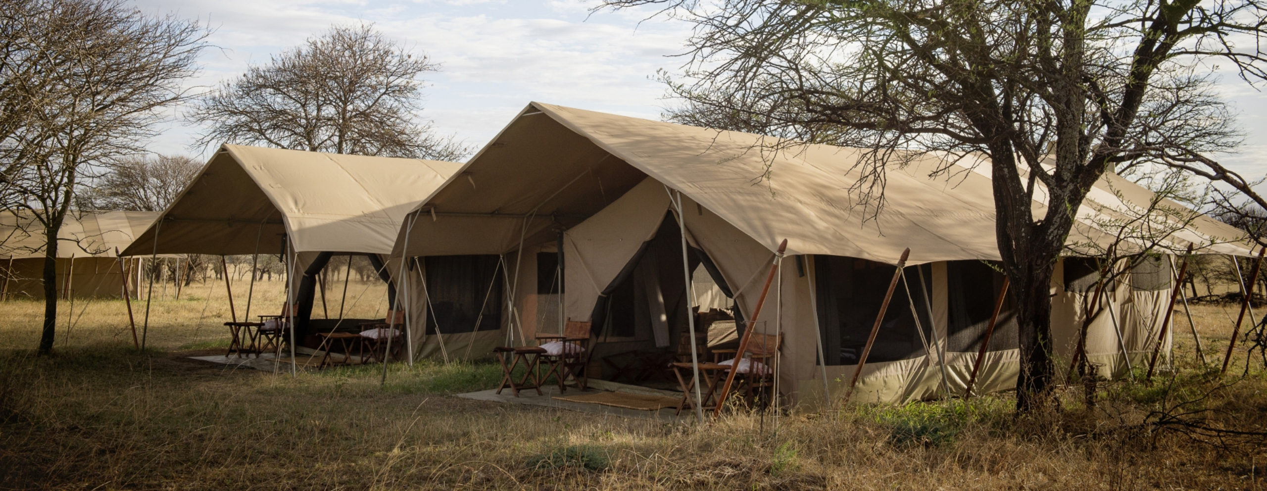 serengeti safari camp