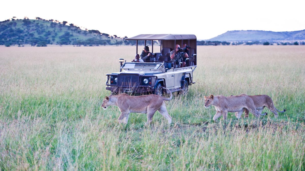 singita-mara-river-camp-safari