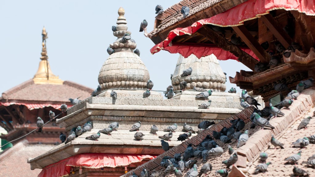 kathmandu-rooftops