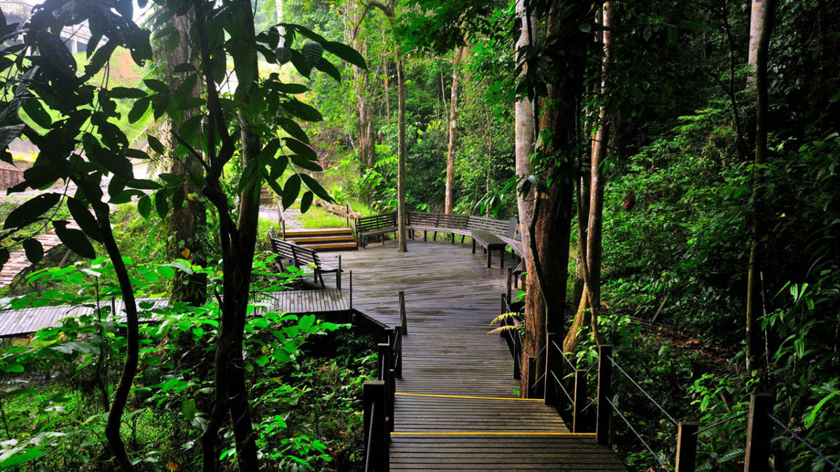 MY Nature Resort - Hotel In Sandakan | Jacada Travel