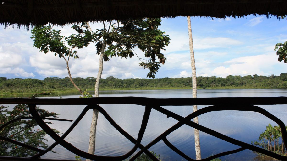 Balcony view, Napo Wildlife Centre, Ecuador, The Amazon