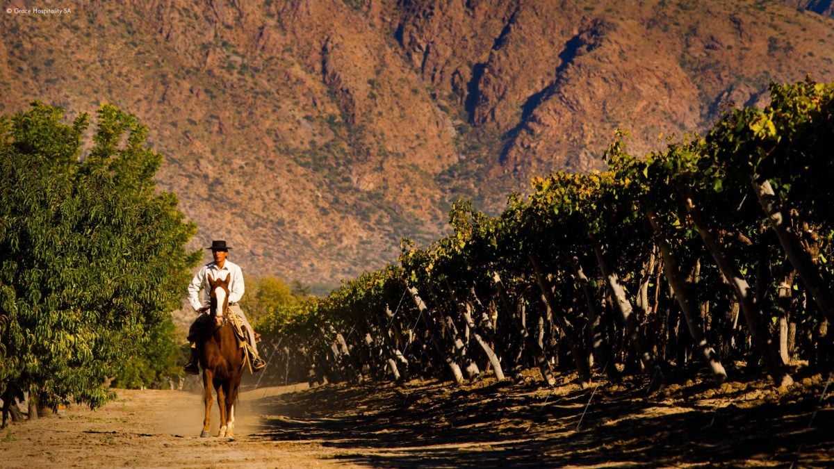 horse-riding-argentina