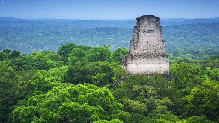 The lush green canopy with ancient Mayan ruins raising from the trees in Tikal, Guatemala