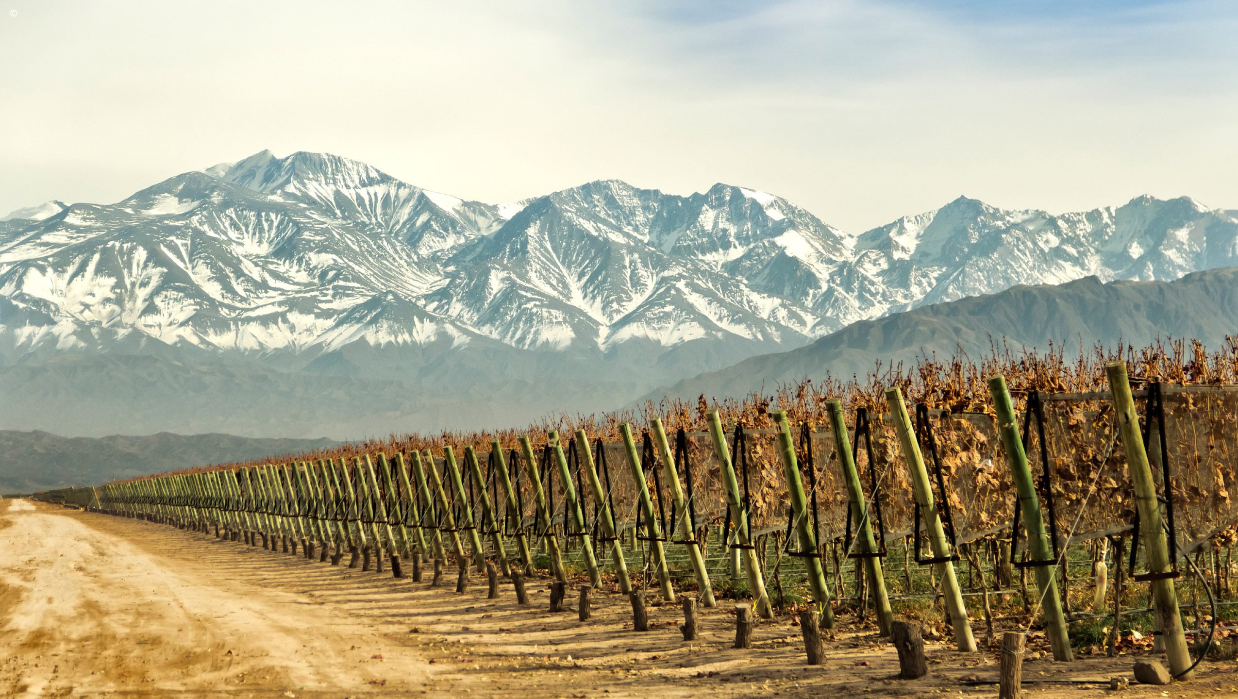 Argentina vs. Chile: Which Has the Best Wine Region?