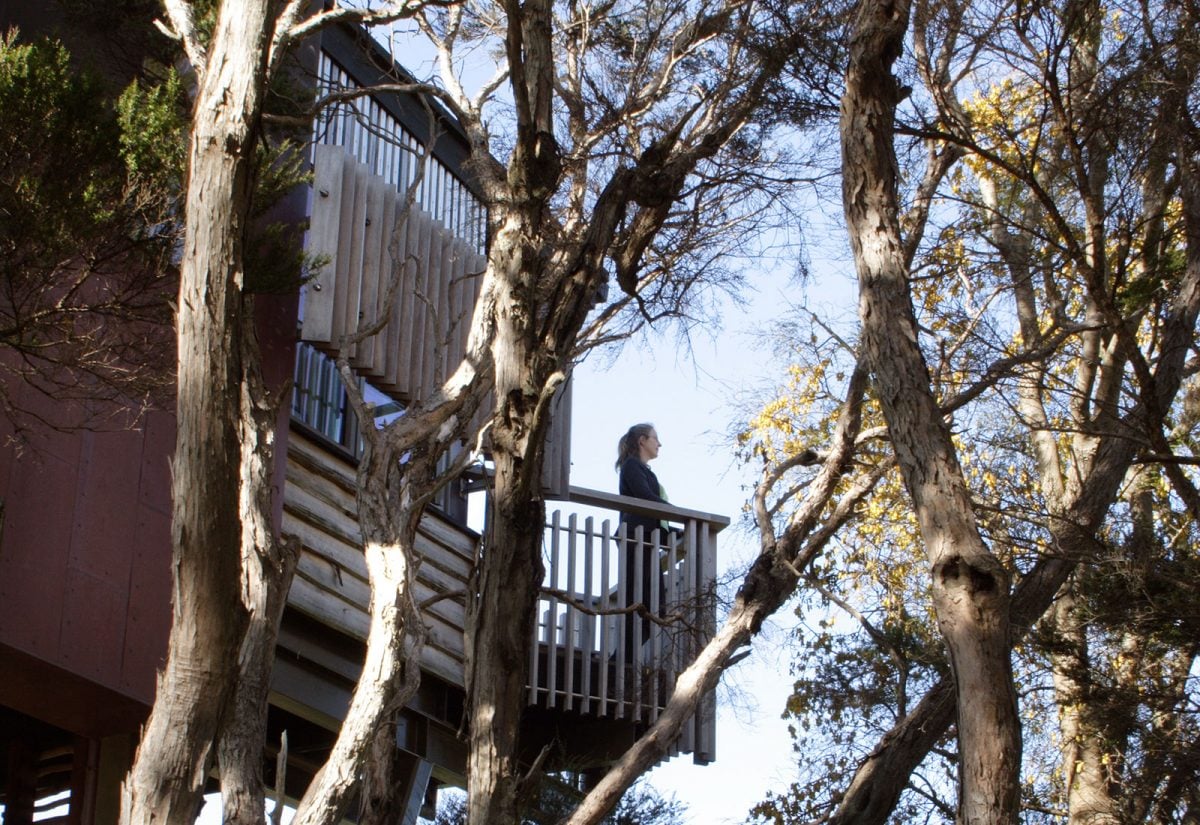Balcony exterior, Hapuku Lodge and Tree Houses, Kaikoura, New Zealand