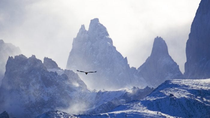 Visit Patagonia in winter