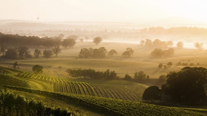sunrise-vineyards-hunter-valley-australia