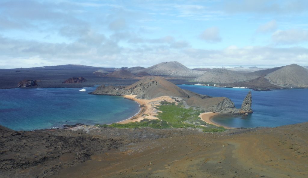 Bartolome Island, Galapagos, Lily Bunker