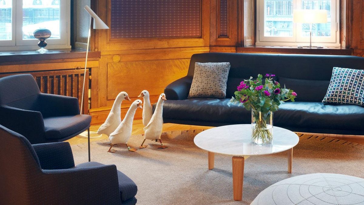nobis-stockholm-lounge-ducks