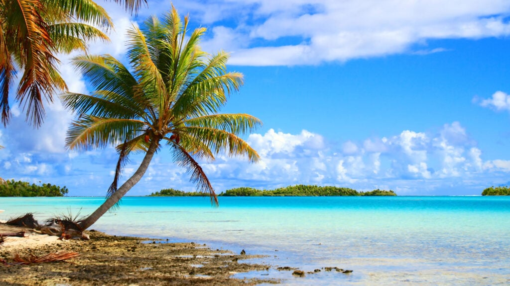cdc travel french polynesia