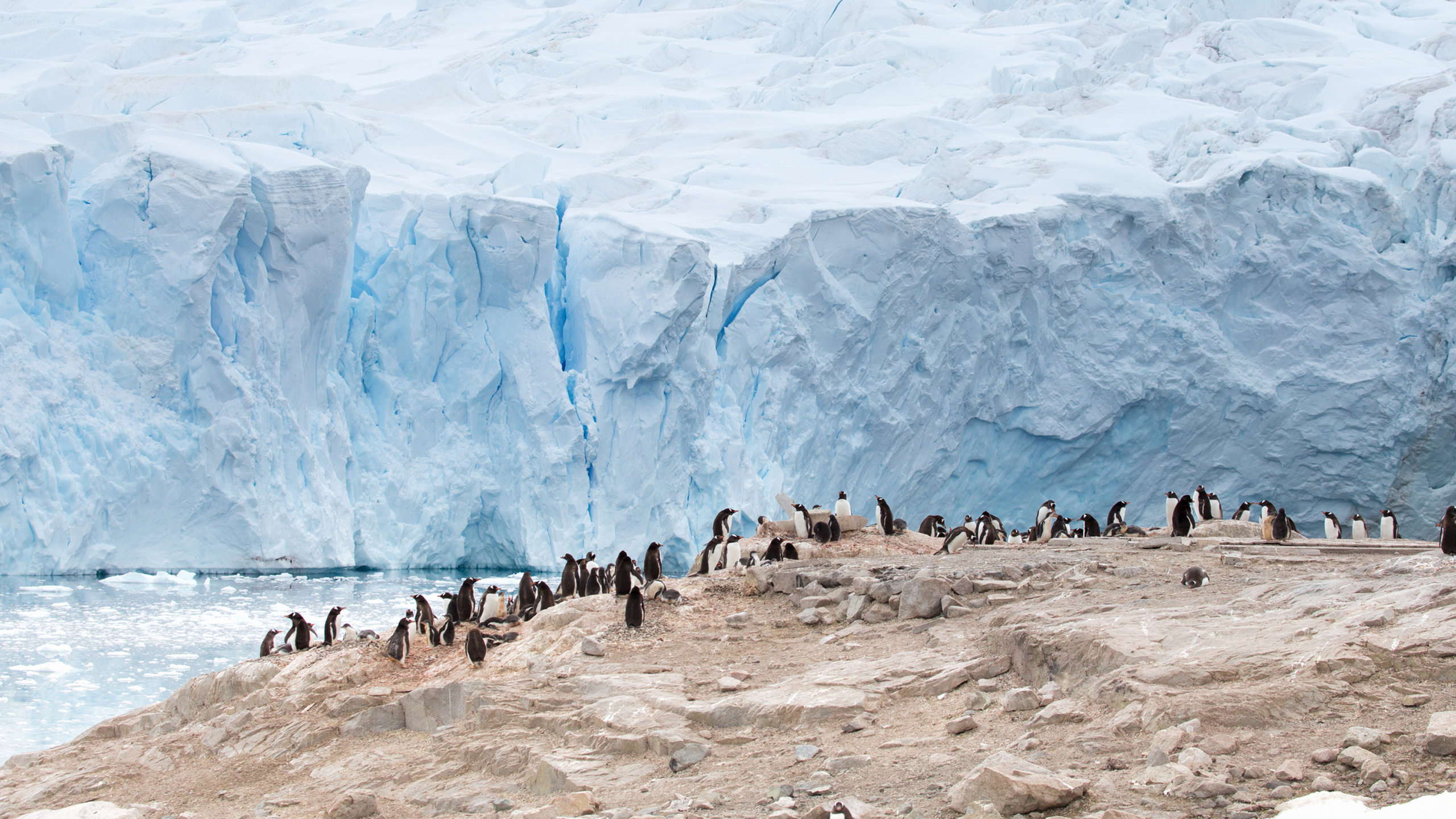 visit antarctica in march