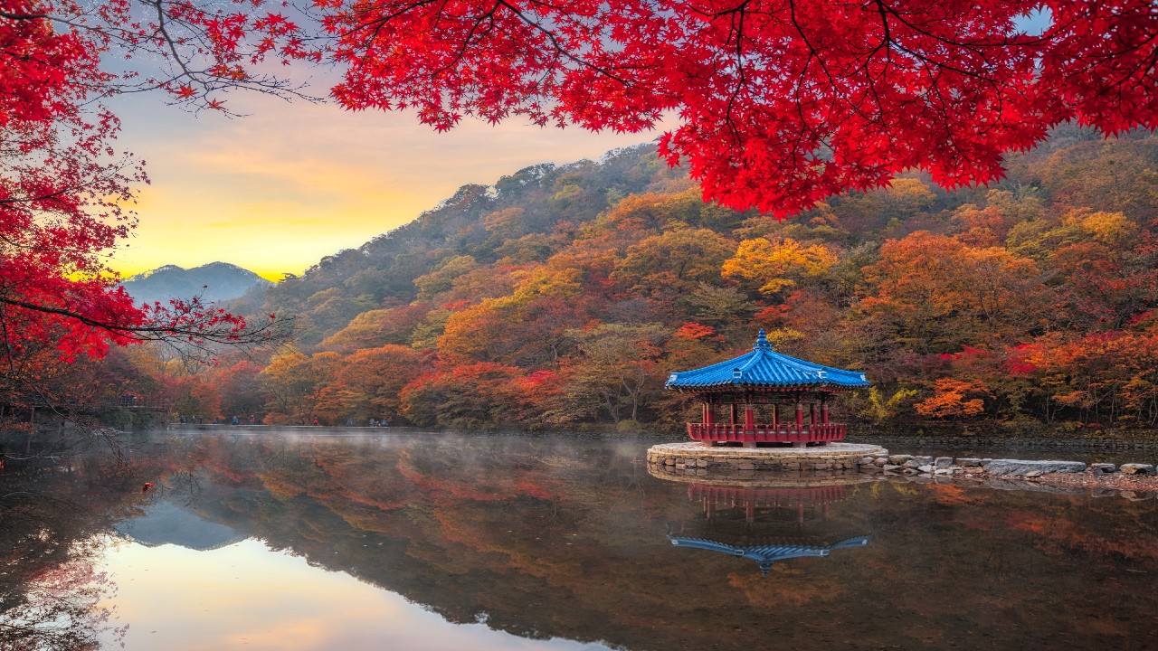 best season to visit south korea