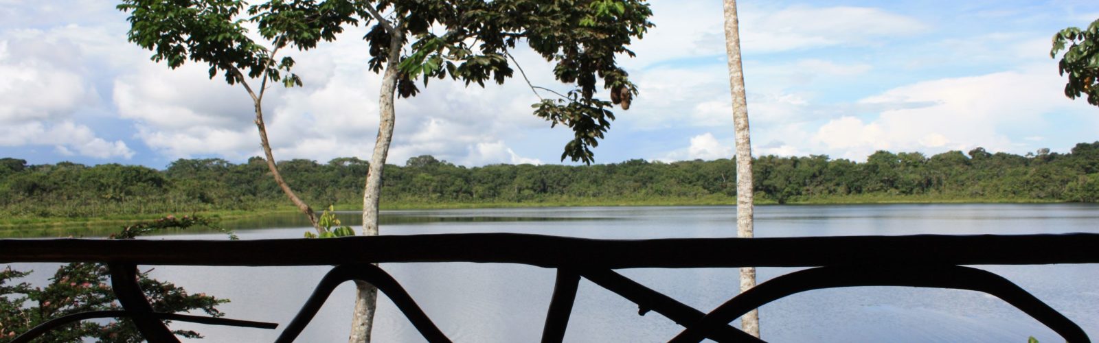 Balcony view, Napo Wildlife Centre, Ecuador, The Amazon