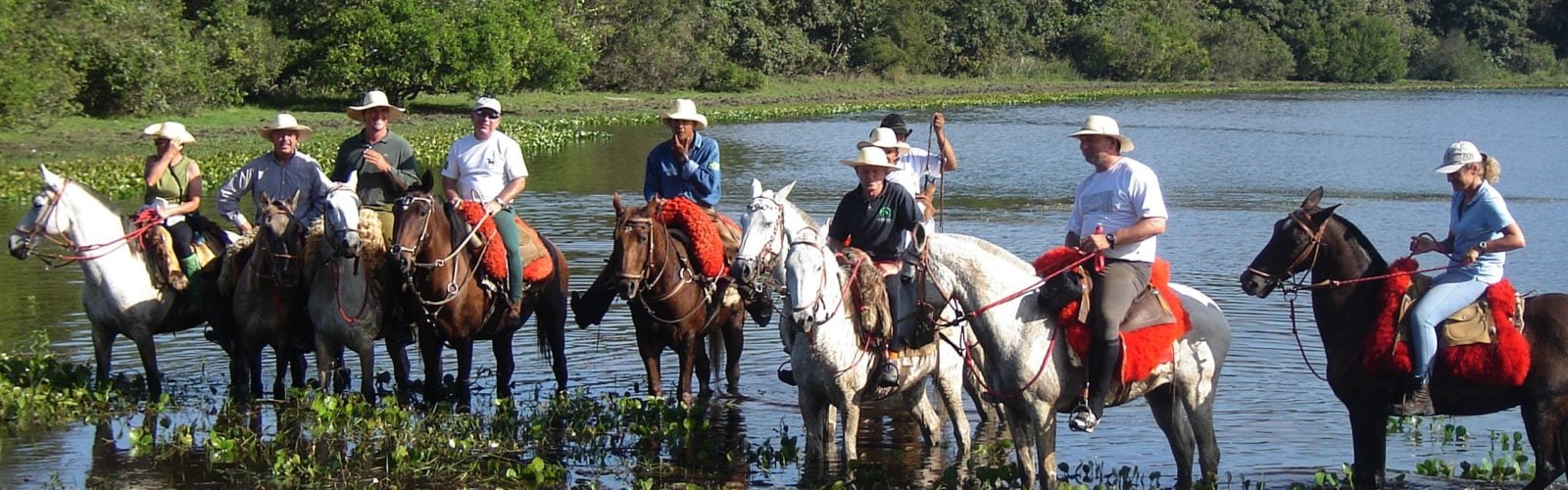 Horse Riding Barra Mansa The Pantanal Brazil