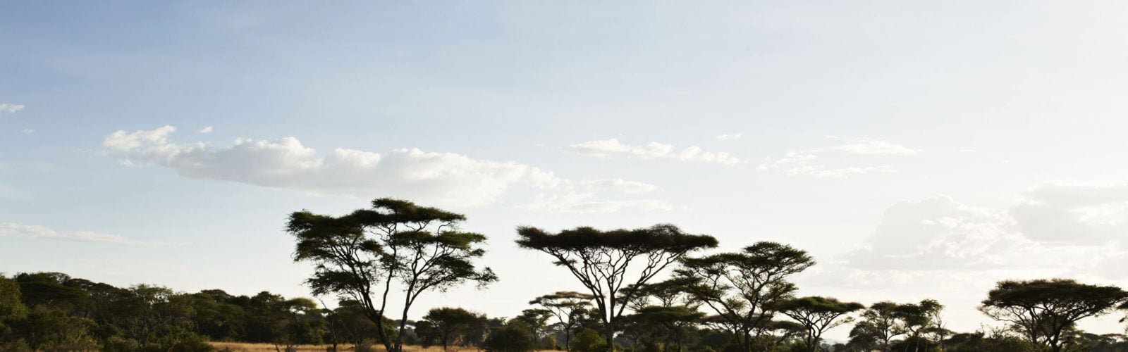 Singita Faru Faru, Singita Grumeti, Tanzania