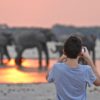 Imvelo-Safari-Lodges-Bomani-Tented-Lodge-Sunset-photography-at-Ngamo