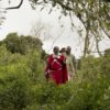 Highlands-Ngorongoro-guests-walking