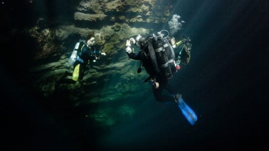 Cave diving in the Cenotes, Yucatan Peninsula, Tulum Mexico