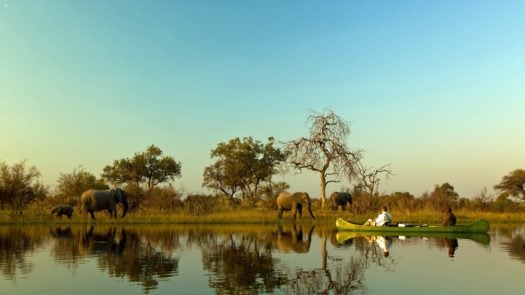 Canoeing on Selinda Spillway Botswana